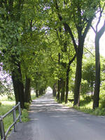 Stará Ves nad Ondřejnicí-cyklotrasa Greenways
