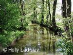 Naučná stezka KOTVICE