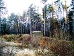 Zřícenina hradu Šelenburk (Šelenburg, Lobenstein)