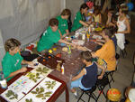 Bambiriáda 2005 - Ostrava