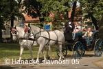 Hanácké slavnosti