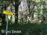 Pelhřimovy