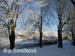 zima
