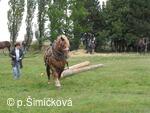 Hubertova jízda