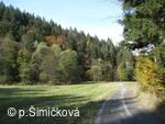 nečínské lesy