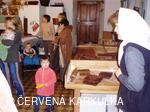 Ukládání Ježibaby mladé (tzn. bez vousů) k zimnímu spánku 31.12.2009