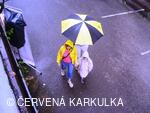 Setkání Jeníčků a Mařenek 2010