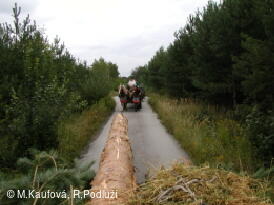 Lanžhot